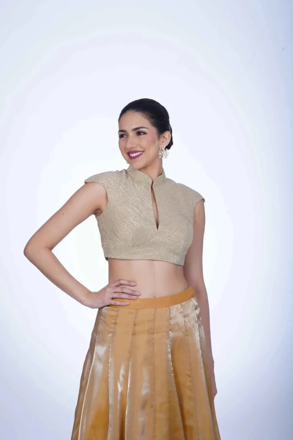 All Gold Crush Amazing Alia Saree Blouse